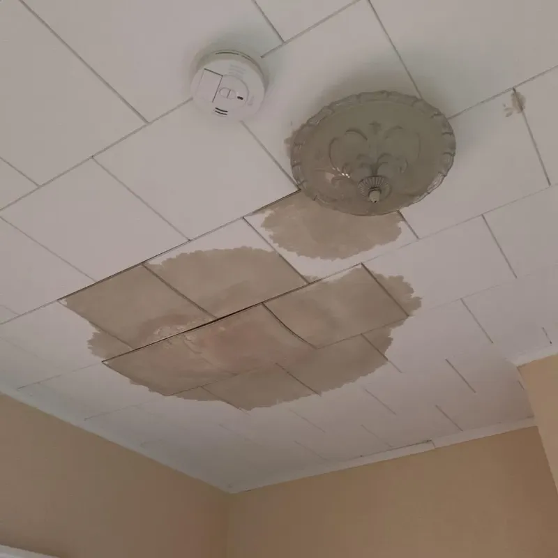 Ceiling Water Damage Repair in Saint Jacob, IL