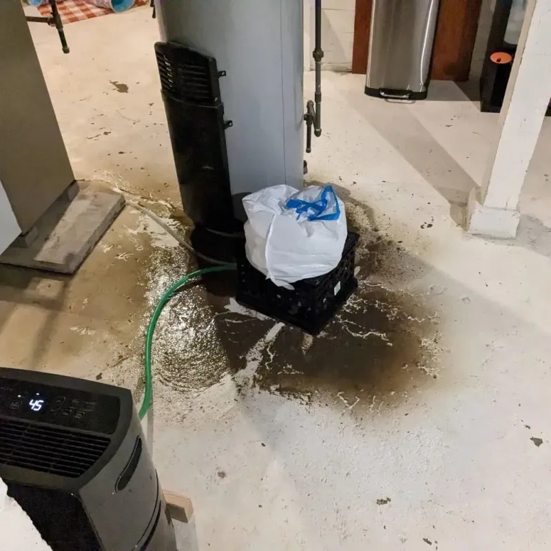 Sewage Backup Cleanup Service in Saint Jacob, IL
